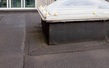 disadvantages of Easter Langlee flat roofs