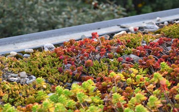 the cost of Easter Langlee green roof installation
