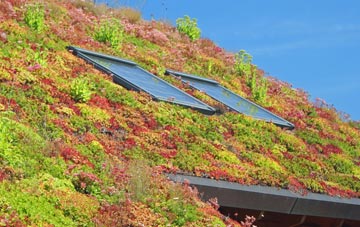 Easter Langlee living roof systems