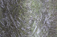 Easter Langlee fibreglass roof work